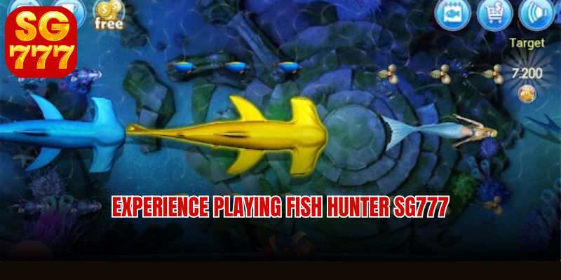 Experience playing Fish hunter SG777