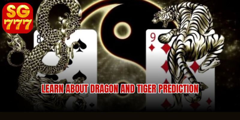 Expert Dragon and Tiger prediction strategies and bankroll tips