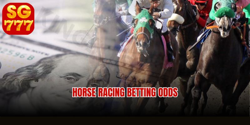 Horse racing betting experience and winning examples at Sg777