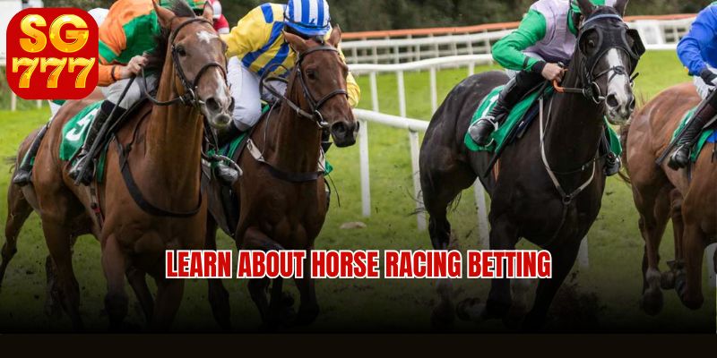 Advanced horse racing betting strategies and tips at Sg777