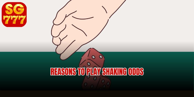 Best timing windows for shaking odds live betting at Sg777